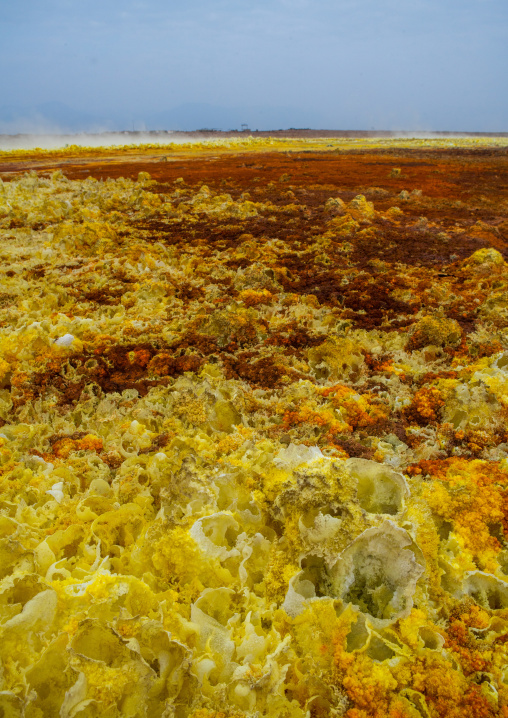 The colorful volcanic landscape of dallol in the danakil depression, Afar region, Dallol, Ethiopia