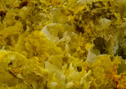 The colorful potassium salt crust formed by hot springs in the danakil depression, Afar region, Dallol, Ethiopia