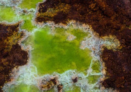 The colorful potassium salt crust formed by hot springs in the danakil depression, Afar region, Dallol, Ethiopia