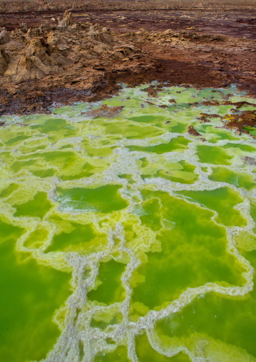 The colorful volcanic landscape of dallol in the danakil depression, Afar region, Dallol, Ethiopia