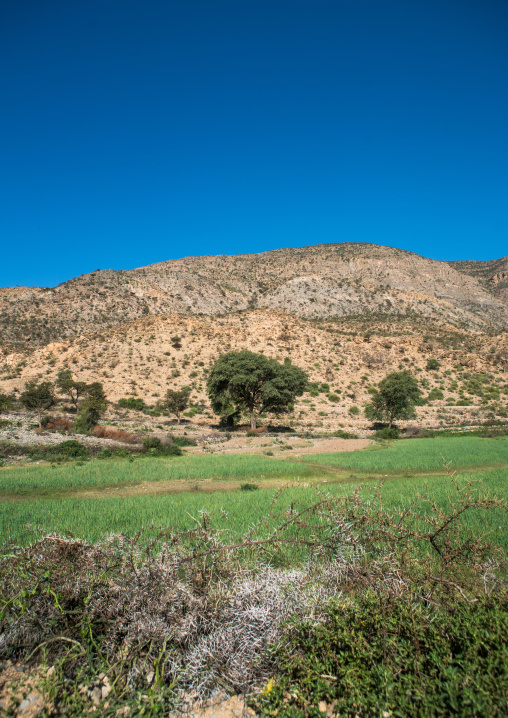 Nice landscape, Dire dawa region, Dire dawa, Ethiopia