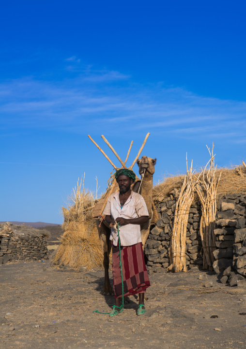 Afar tribe men loading a camel in front of a hut before climbing to erta ale, Afar region, Erta ale, Ethiopia