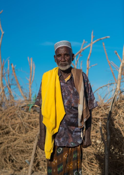 Portrait of an afar tribe elder, Afar region, Afambo, Ethiopia