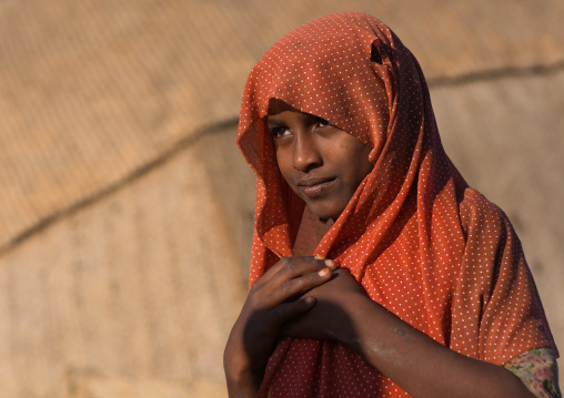 Portrait of an afar tribe teenage girl, Afar region, Afambo, Ethiopia