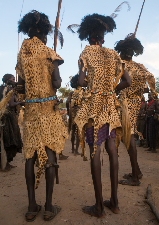 Dassanech men with leopard skins and ostrich feathers headwears during dimi ceremony to celebrate circumcision of teenagers, Omo valley, Omorate, Ethiopia