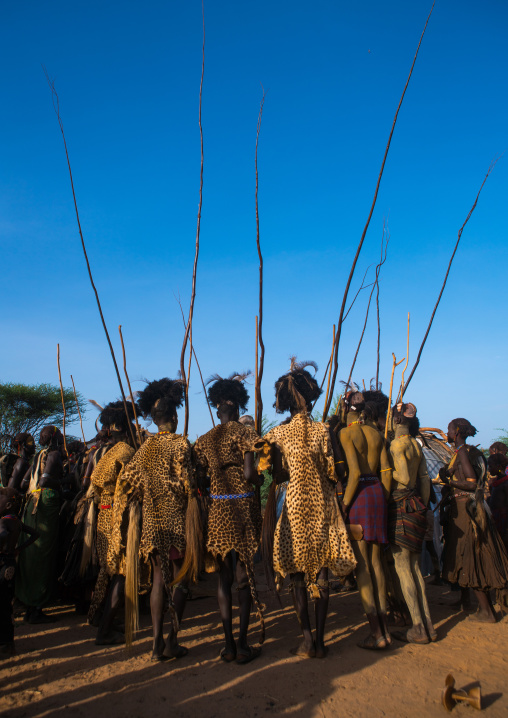 Dassanech men with leopard skins and ostrich feathers headwears during dimi ceremony to celebrate circumcision of teenagers, Omo valley, Omorate, Ethiopia