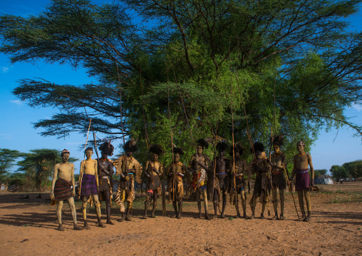 Dassanech men with leopard skins and ostrich feathers headwears during dimi ceremony to celebrate circumcision of teenagers, Omo valley, Omorate, Ethiopia