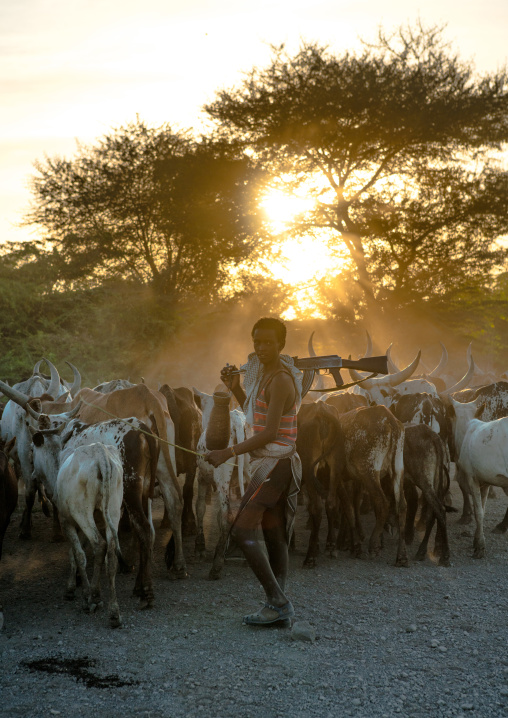 Afar tribe herder with a kalshnikov looking for his cows, Afar region, Afambo, Ethiopia