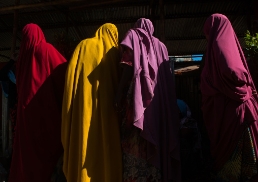 Women selling khat in the market near harar, Harari region, Awaday, Ethiopia