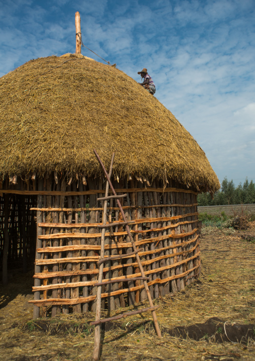 Man covers the thatched roof of a traditional ethiopian house, Kembata, Alaba kuito, Ethiopia