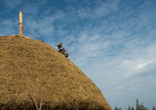 Man covers the thatched roof of a traditional ethiopian house, Kembata, Alaba kuito, Ethiopia