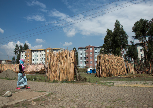 Wood yards in front of new apartments blocks, Addis abeba region, Addis ababa, Ethiopia