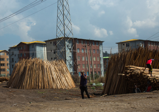 Wood yards in front of new apartments blocks, Addis abeba region, Addis ababa, Ethiopia