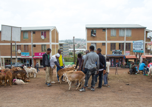 Popular and middle class new apartments blocks, Addis abeba region, Addis ababa, Ethiopia