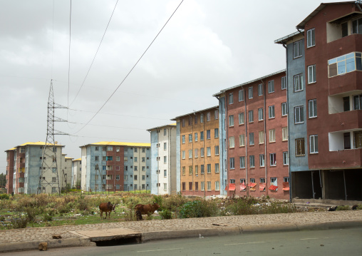 Popular and middle class new apartments blocks, Addis abeba region, Addis ababa, Ethiopia