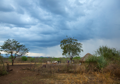 Rainy clouds above bodi tribe village, Omo valley, Hana mursi, Ethiopia