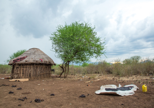 Thatch huts in a bodi tribe village, Omo valley, Hana mursi, Ethiopia