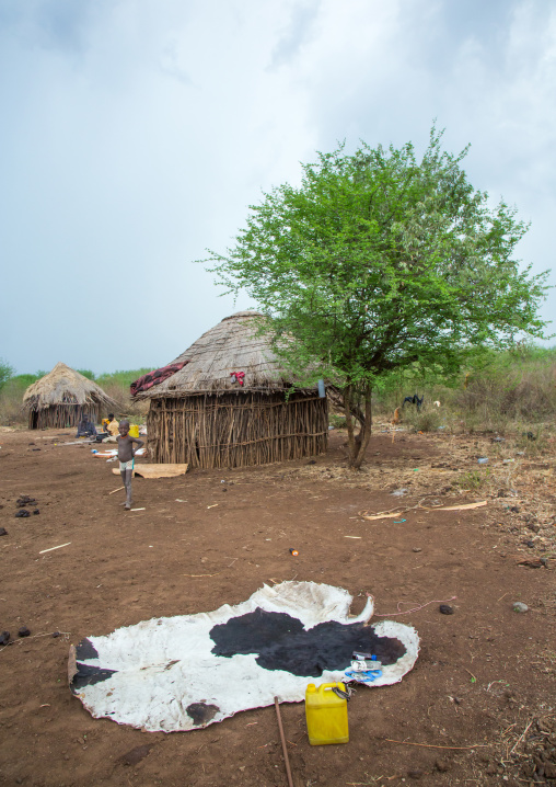 Thatch huts in a bodi tribe village, Omo valley, Hana mursi, Ethiopia