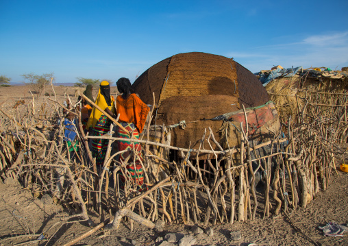 Afar tribe women building a hut behind a wooden fence, Afar region, Mile, Ethiopia