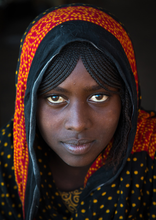 Portrait of a smiling Afar tribe teenage girl with braided hair, Afar region, Mile, Ethiopia