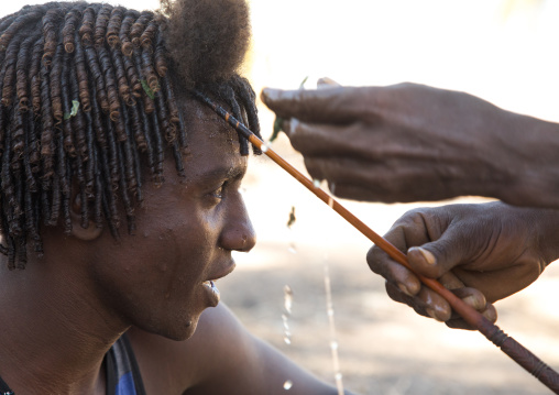 Afar man having a traditional hairstyle with a stick to make curly hair, Afar region, Afambo, Ethiopia