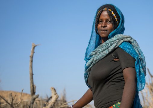 Portrait of an Afar tribe woman with braided hair, Afar region, Chifra, Ethiopia