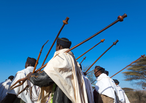 Borana tribe men with their ororo sticks during the Gada system ceremony, Oromia, Yabelo, Ethiopia