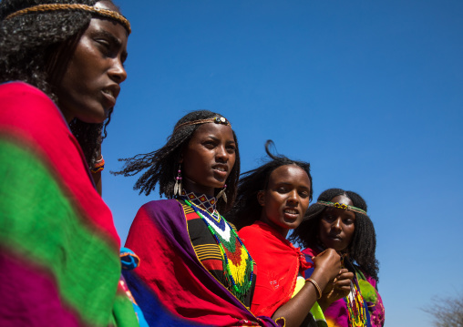 Borana tribe virgin girls during the Gada system ceremony, Oromia, Yabelo, Ethiopia