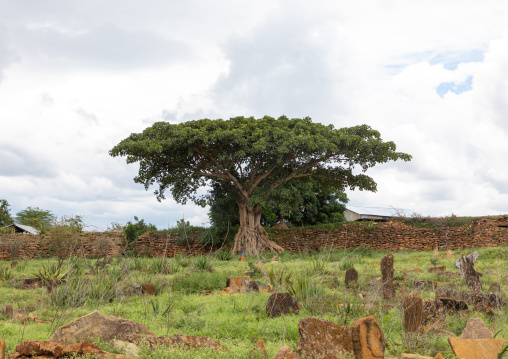 Cemetery in Sheikh Hussein shrine, Oromia, Sheik Hussein, Ethiopia