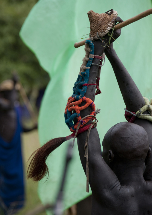 Suri tribe warriors fighting during a donga stick ritual, Omo valley, Tulgit, Ethiopia