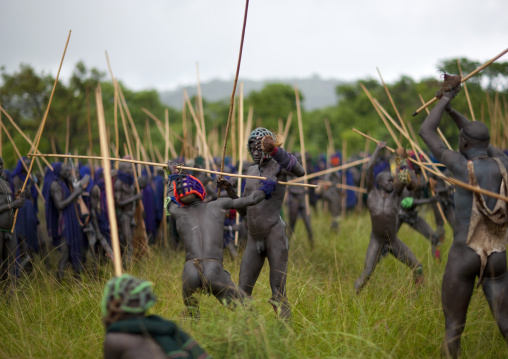 Suri tribe warriors fighting during a donga stick ritual, Omo valley, Tulgit, Ethiopia