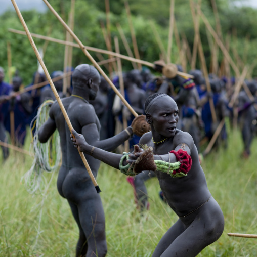 Suri tribe warriors fighting during a donga stick ritual, Omo valley, Tulgit, Ethiopia