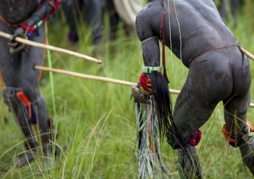 Suri tribe warriors fighting during a donga stick ritual, Omo valley, Tulgit, Ethiopia