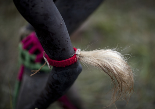 Suri tribe warrior during a donga stick ritual, Omo valley, Tulgit, Ethiopia