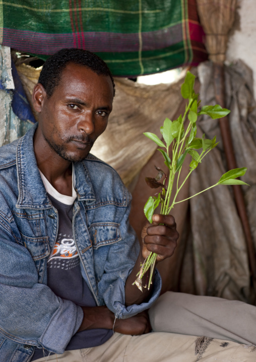 Khat Chewer, Village Of Tepi, Ethiopia