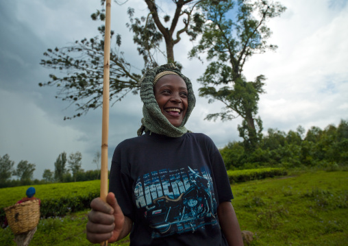 Woman working in wushi wushi tea plantation, Ethiopia