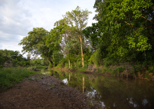 River in the Bodi tribe territory, Omo valley, Hana Mursi, Ethiopia