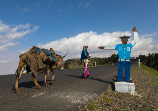 One woman with a cow passing in front of a fake cop mannequin along the road, Gurage Zone, Butajira, Ethiopia