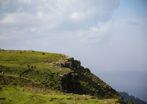 Muslim cemetery on a little hill, Gurage Zone, Butajira, Ethiopia