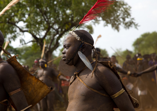 Bodi tribe fat man with giant earrings during Kael ceremony, Omo valley, Hana Mursi, Ethiopia