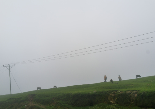 Foggy weather in the Dorze mountains, Gamo Gofa Zone, Gamole, Ethiopia