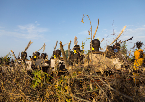 Bodi tribe fat men during Kael ceremony, Omo valley, Hana Mursi, Ethiopia