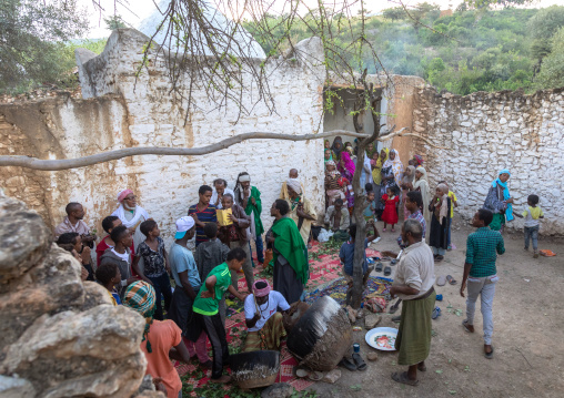 Harari men chewing khat during a sufi celebration, Harari Region, Harar, Ethiopia