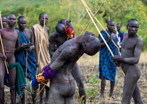 Suri tribe warrior bleeding during a donga stick fighting ritual, Omo valley, Kibish, Ethiopia