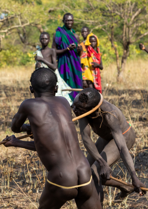 Suri tribe warriors fighting during a donga stick ritual, Omo valley, Kibish, Ethiopia