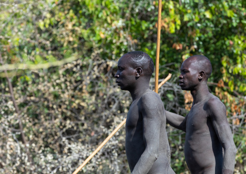 Suri tribe warriors during a donga stick fighting ritual, Omo valley, Kibish, Ethiopia