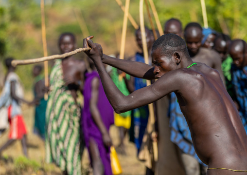 Suri tribe warriors fighting during a donga stick ritual, Omo valley, Kibish, Ethiopia