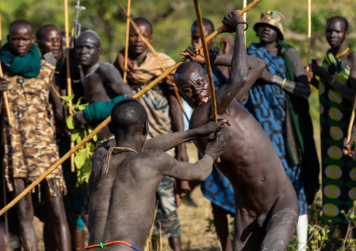 Suri tribe warriors fighting during a donga stick ritual, Omo valley, Kibish, Ethiopia