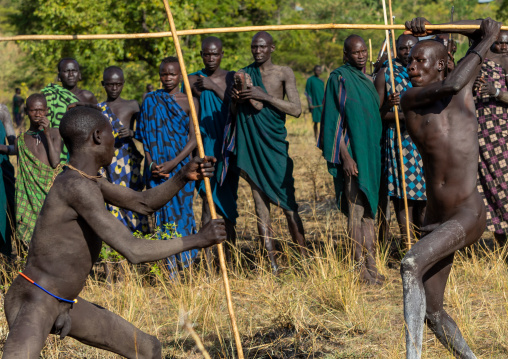 Suri tribe warriors fighting during a donga stick ritual, Omo valley, Kibish, Ethiopia