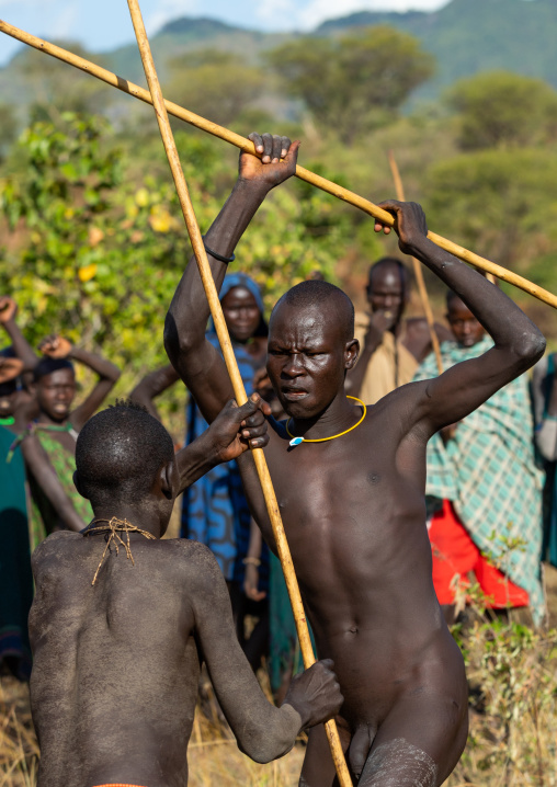 Suri tribe warriors fighting during a donga stick ritual, Omo valley, Kibish, Ethiopia